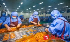 <b>请于8—26日到所正在片区学校线下报名</b>