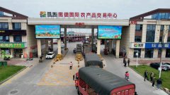 买卖量、价钱走势、检测消息、车流安排 